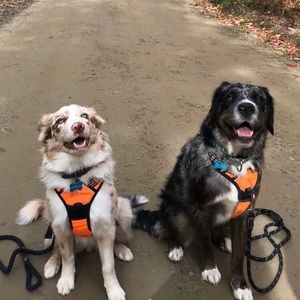 Meet your Posher, Ginette